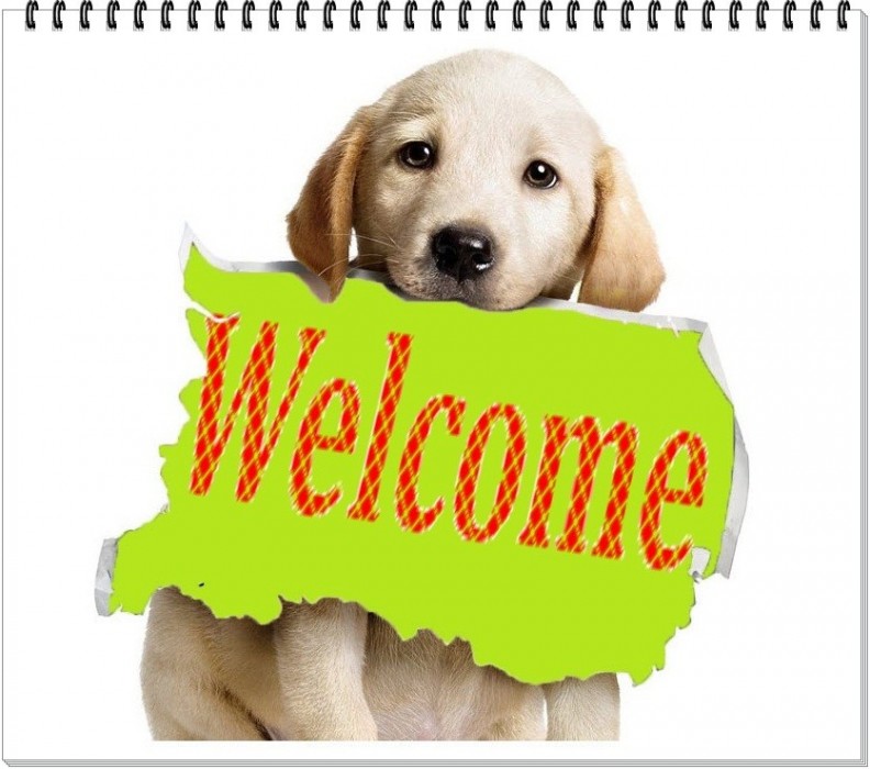 Welcome to topbinaryoptionsbonus.com